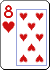 8h